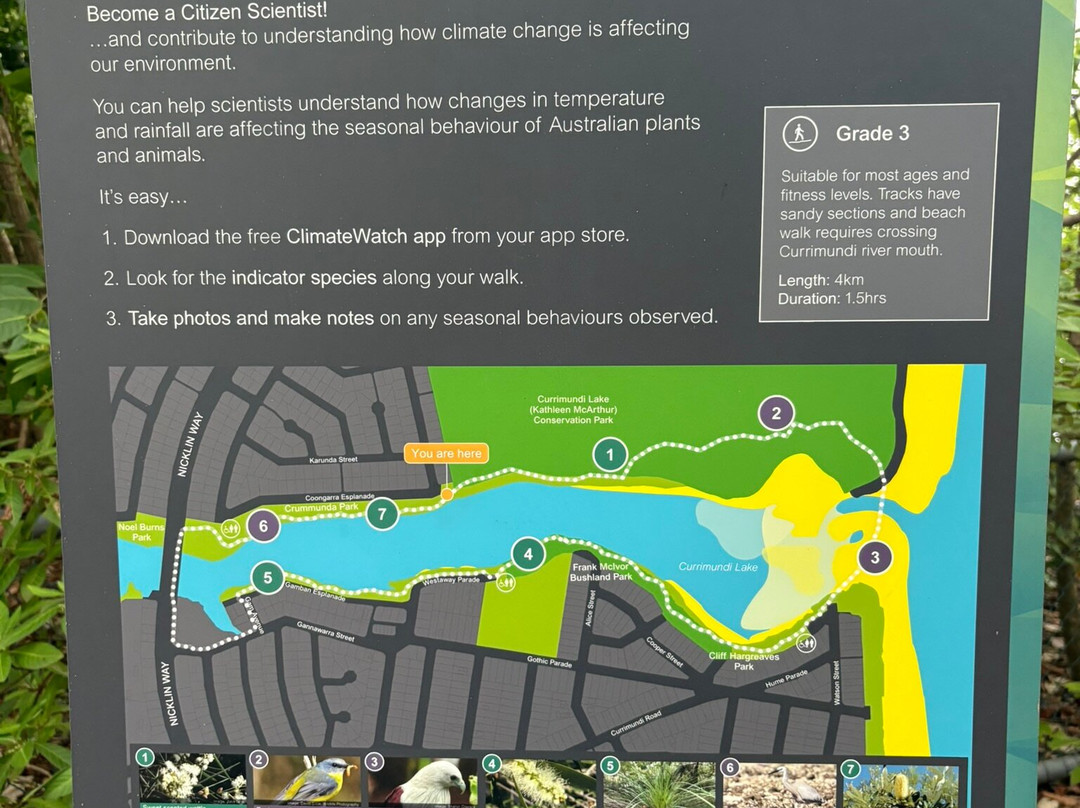 Currimundi Lake-Currimundi必去景点