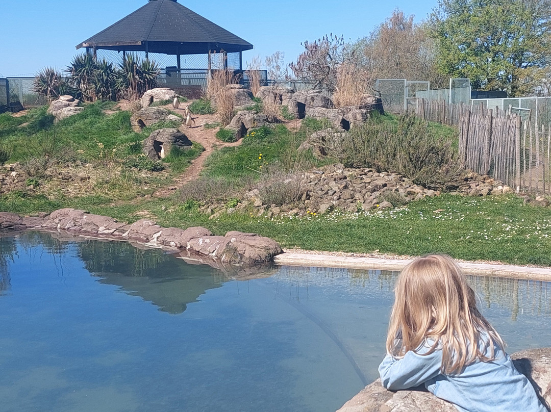 Le Monde Sauvage-艾瓦耶必去景点