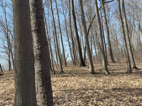 Eramosa Karst Conservation Area-Stoney Creek必去景点