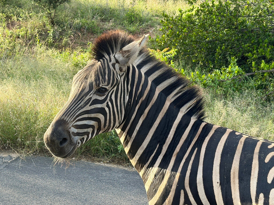 Touched By Nature-雾观必去景点