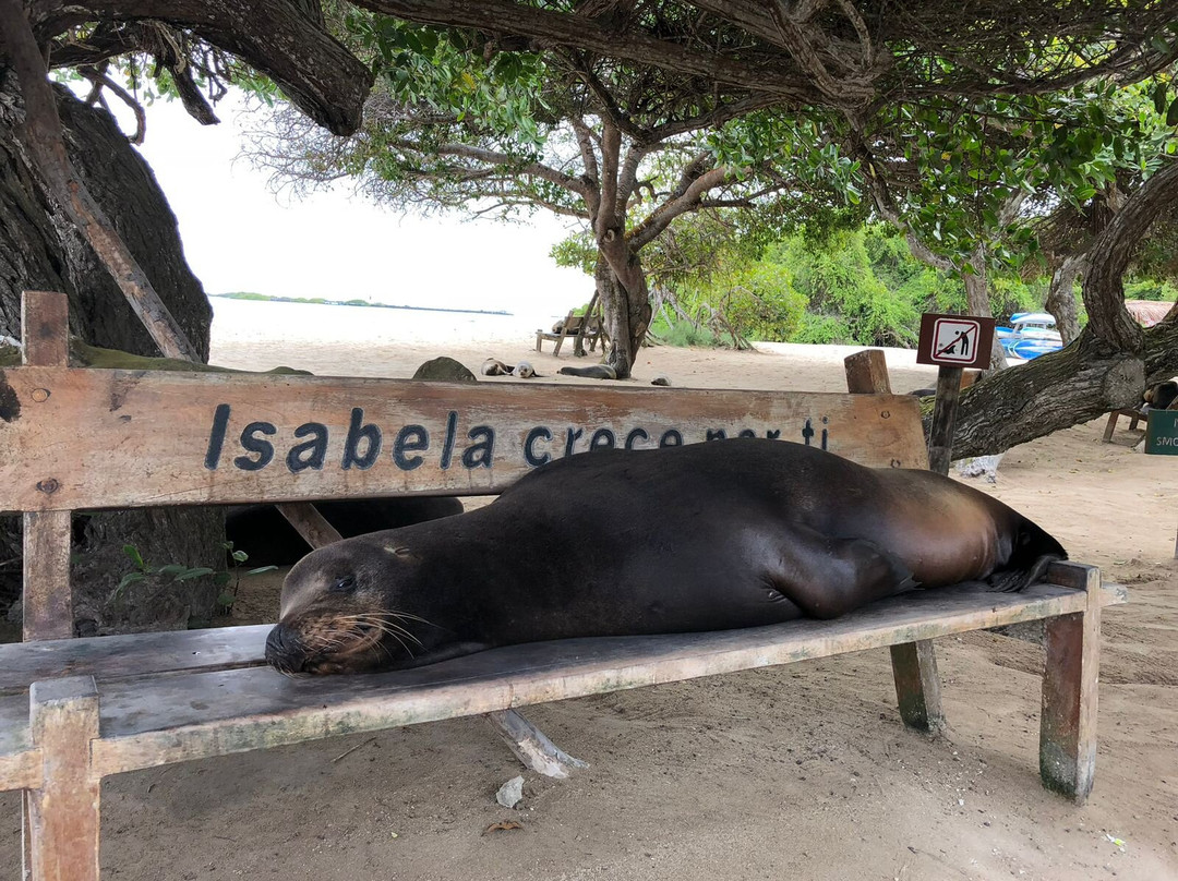 Galapagos by Local Guides-圣克鲁斯必去景点
