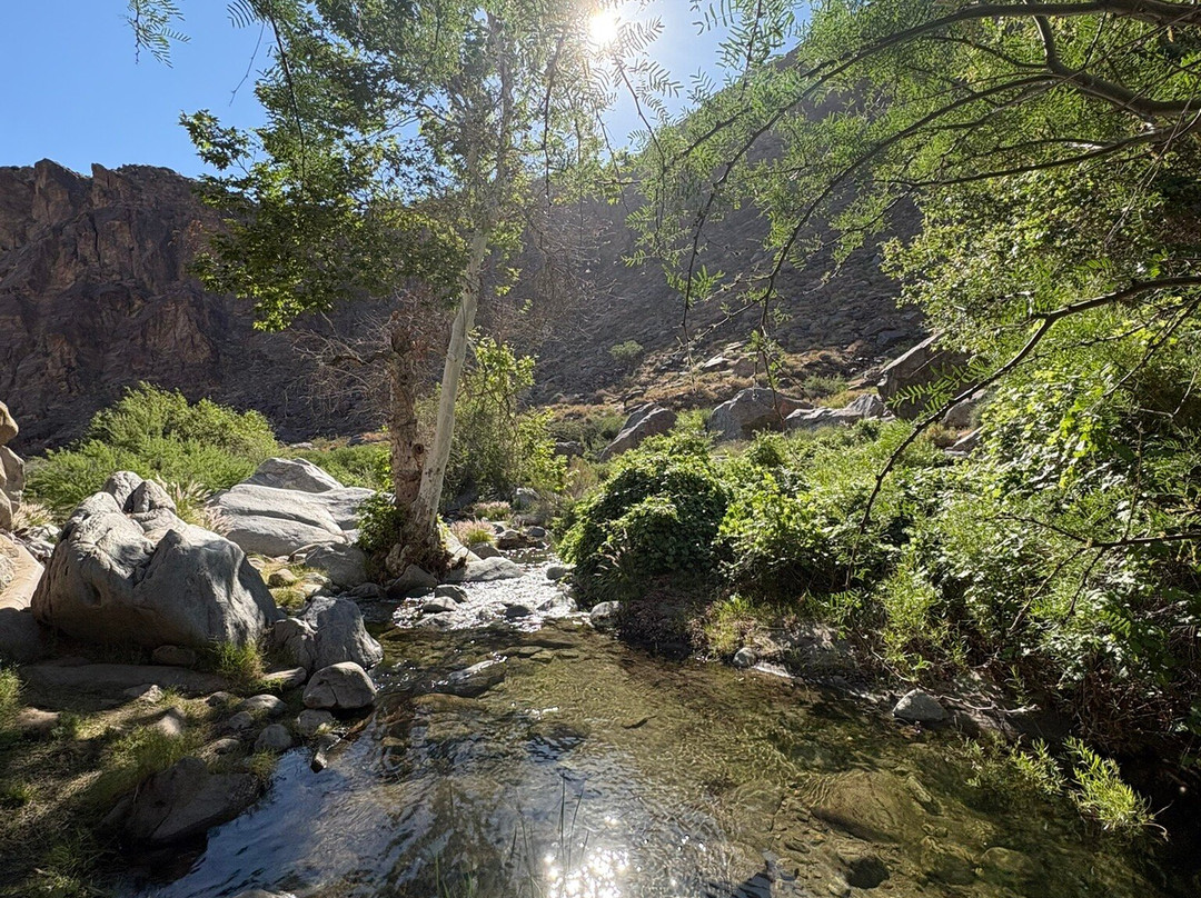 Tahquitz Canyon-棕榈泉市必去景点