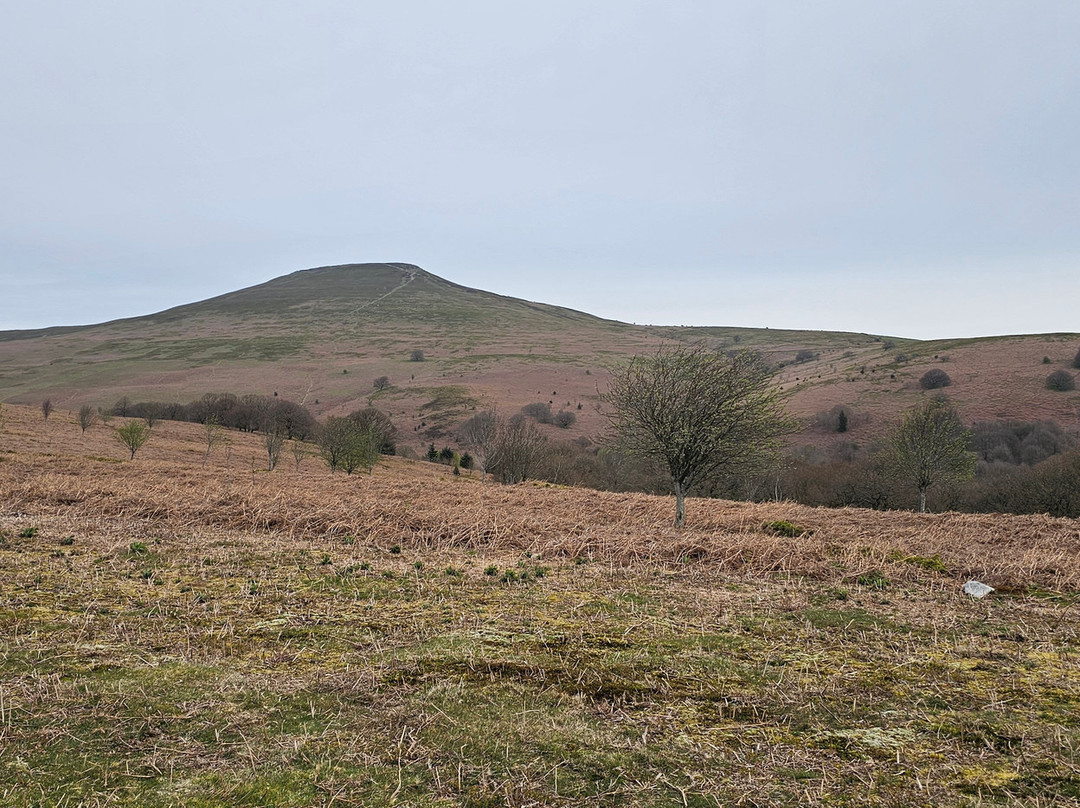 布雷肯比肯斯磨坊旅馆民宿主图