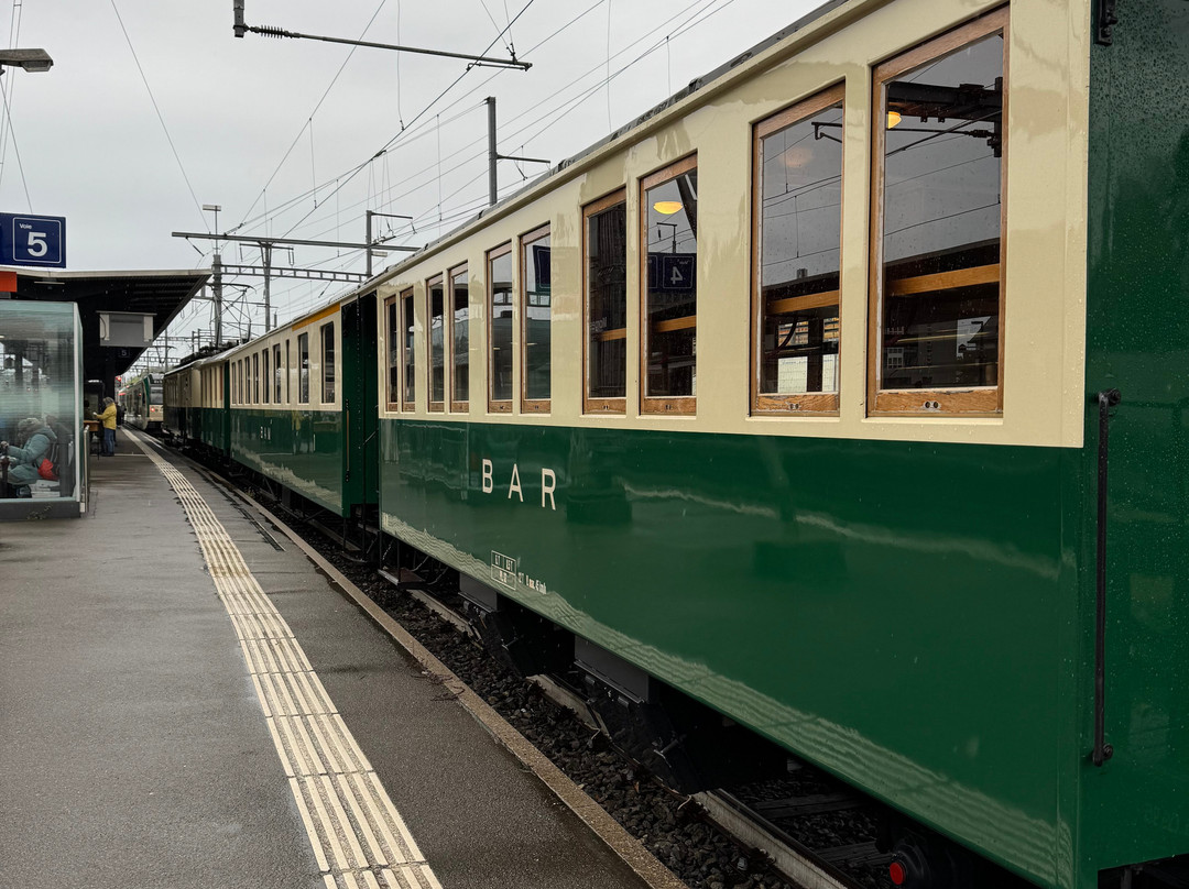 Le train rétro BAM - La Voie des Sens-莫尔日必去景点