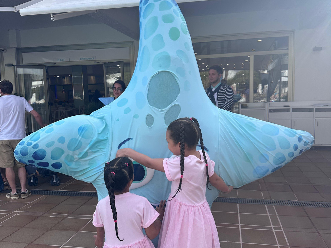 布兰卡城伊波罗之星海浪酒店主图