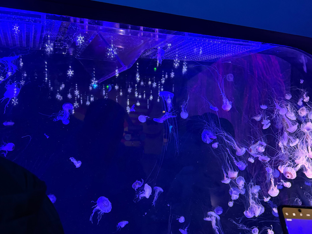 Acuario Michin Puebla-普埃布拉必去景点