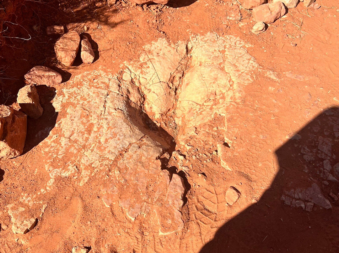 Red Cliffs National Conservation Area-圣乔治必去景点