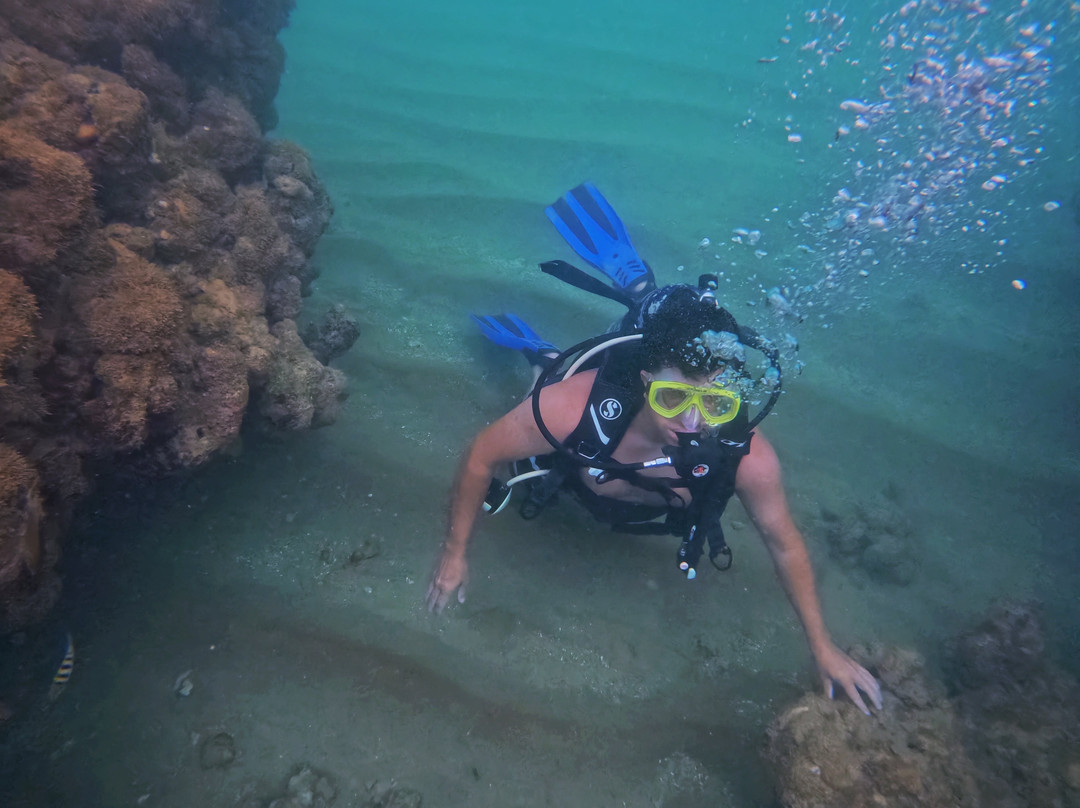 PAPUAN - Mergulho & Turismo-Joao Pessoa必去景点