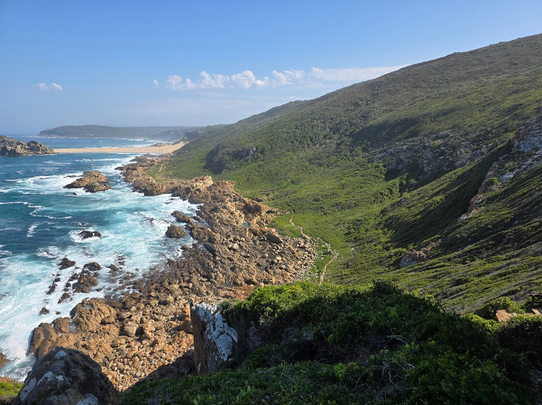 Robberg Nature Reserve-普利登堡湾必去景点