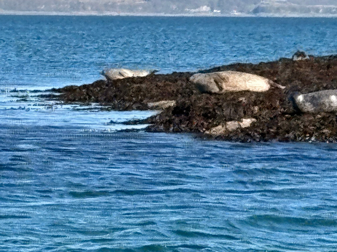Argyll-Sea Tours-奥本必去景点