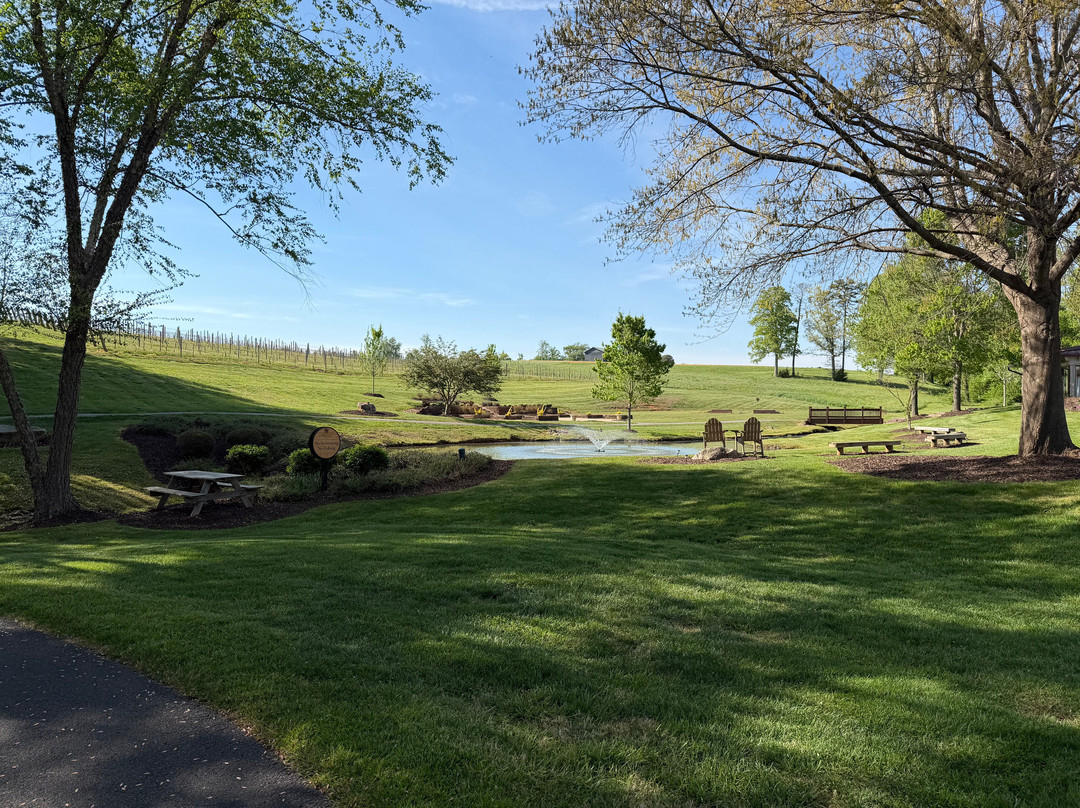 Shelton Vineyards-Dobson必去景点