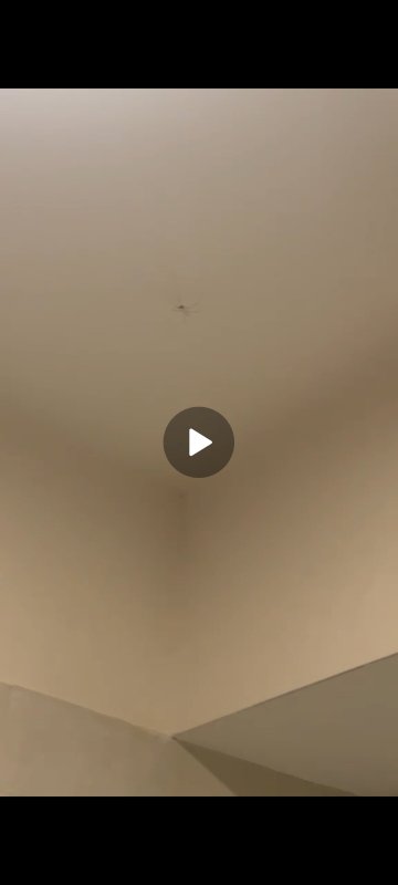 蒙特斯皮娜公园酒店-旅行者