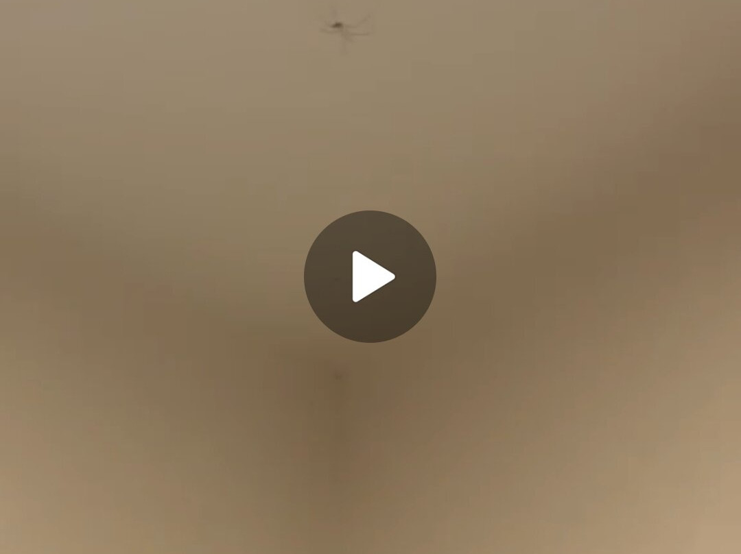 蒙特斯皮娜公园酒店主图