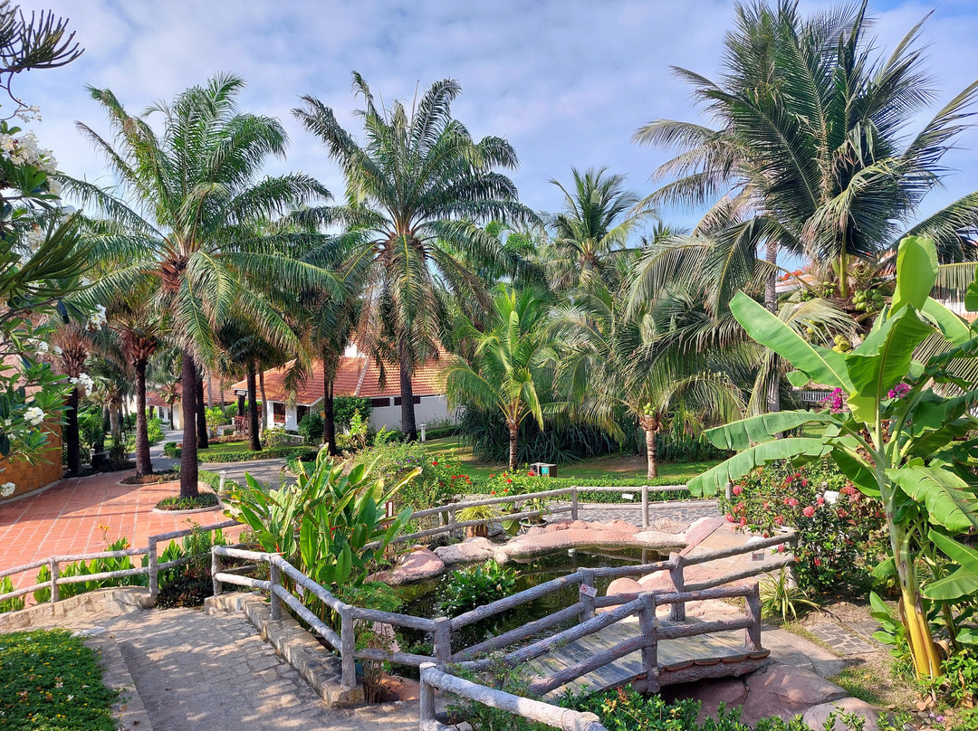 内心的平静主图