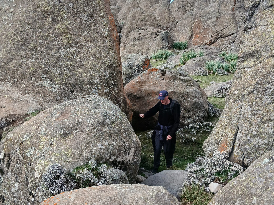Bale Mountains Trekking Tours Ethiopia-Bale Robe必去景点