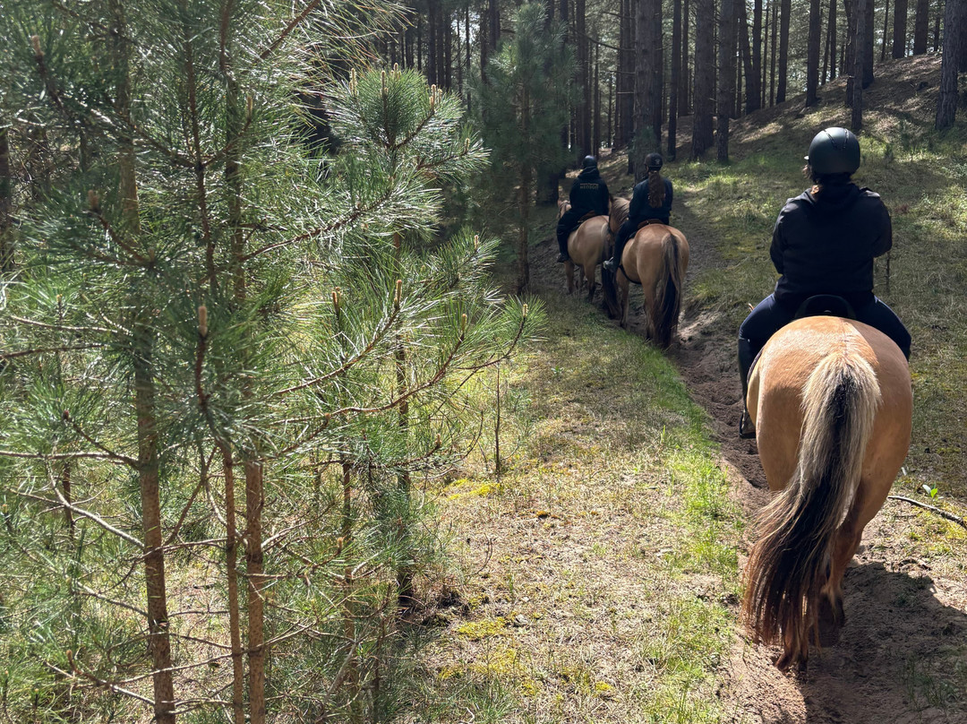 Espaces Equestres Henson-Saint-Quentin-en-Tourmont必去景点