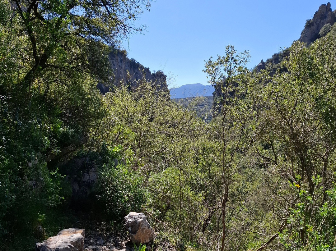 Lousios Gorge-Dimitsana必去景点