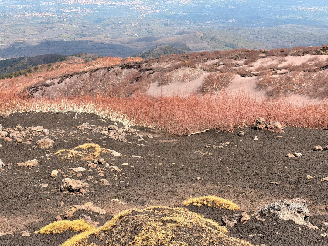 EtNative • Excursions Etna-Mascalucia必去景点
