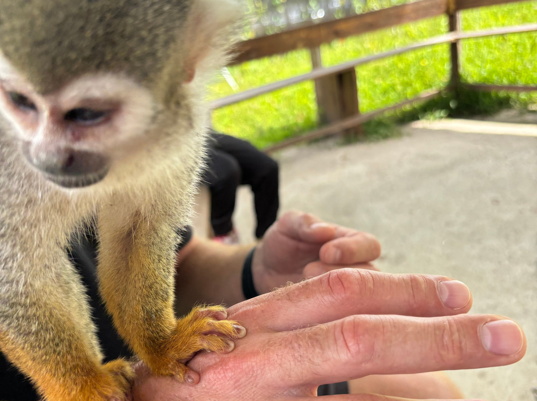 Monkey Home Puerto Plata-普拉塔港必去景点