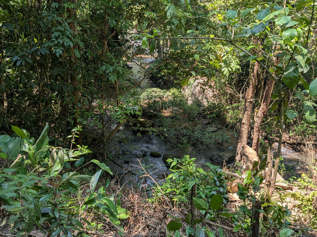 Thai Eco Trek Adventure-清迈必去景点