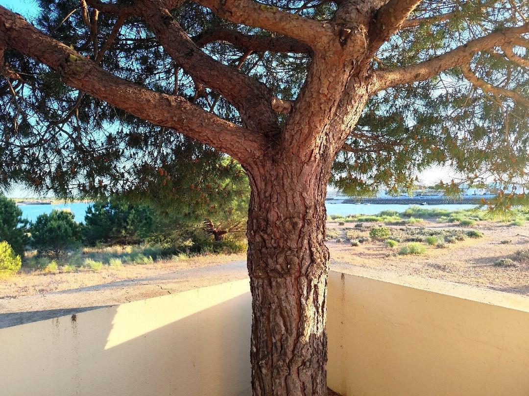 Vila Galé Albacora 生态海滩之旅主图
