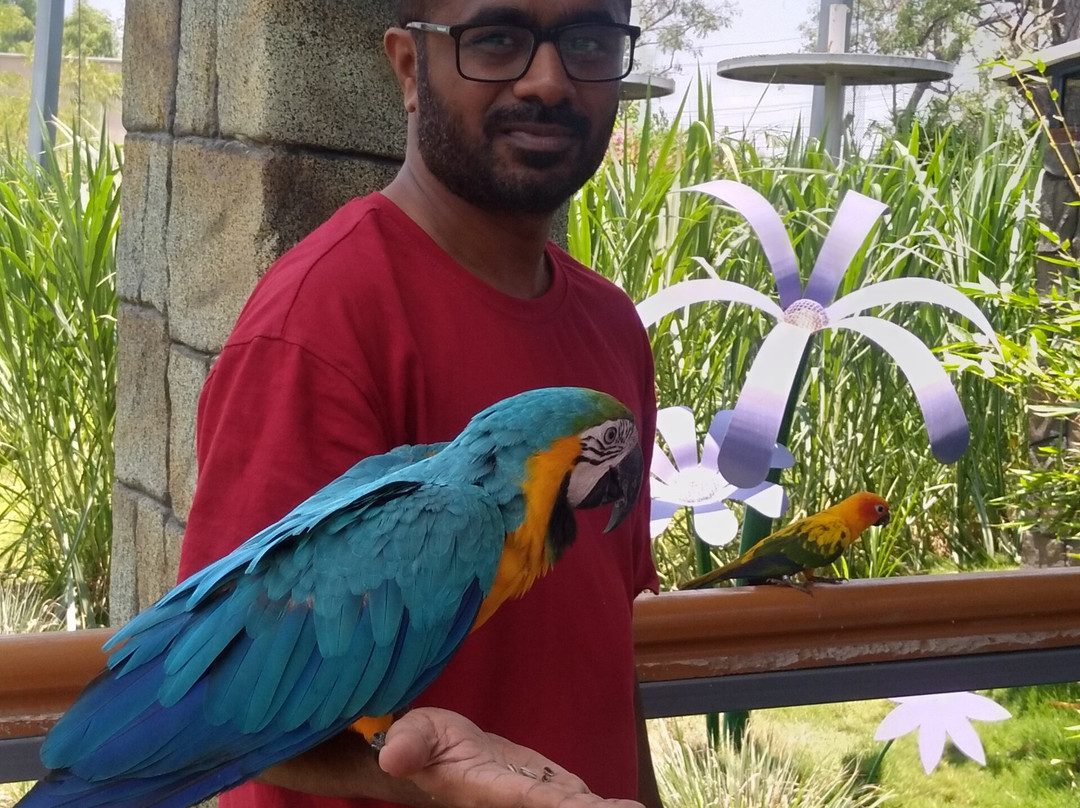 Trichy Birds Park-Tiruchirappalli District必去景点