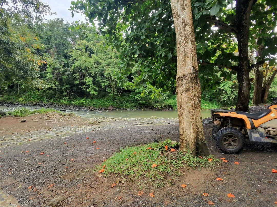 Rainforest & Ocean View Inn at Hacienda Carabali主图
