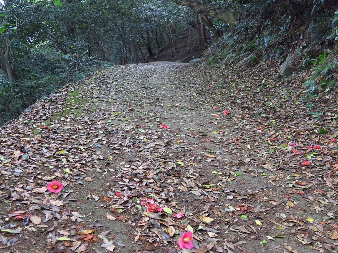 Ruins of Tokushima Castle-德岛市必去景点