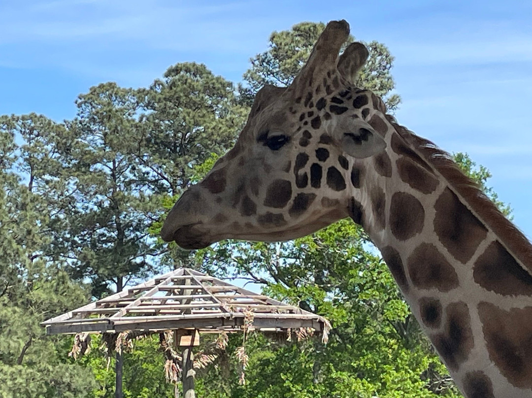 Broadway Zoological Park-Broadway必去景点