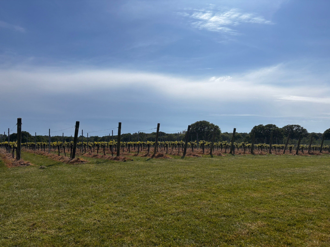 Woodchurch Vineyard-Woodchurch必去景点
