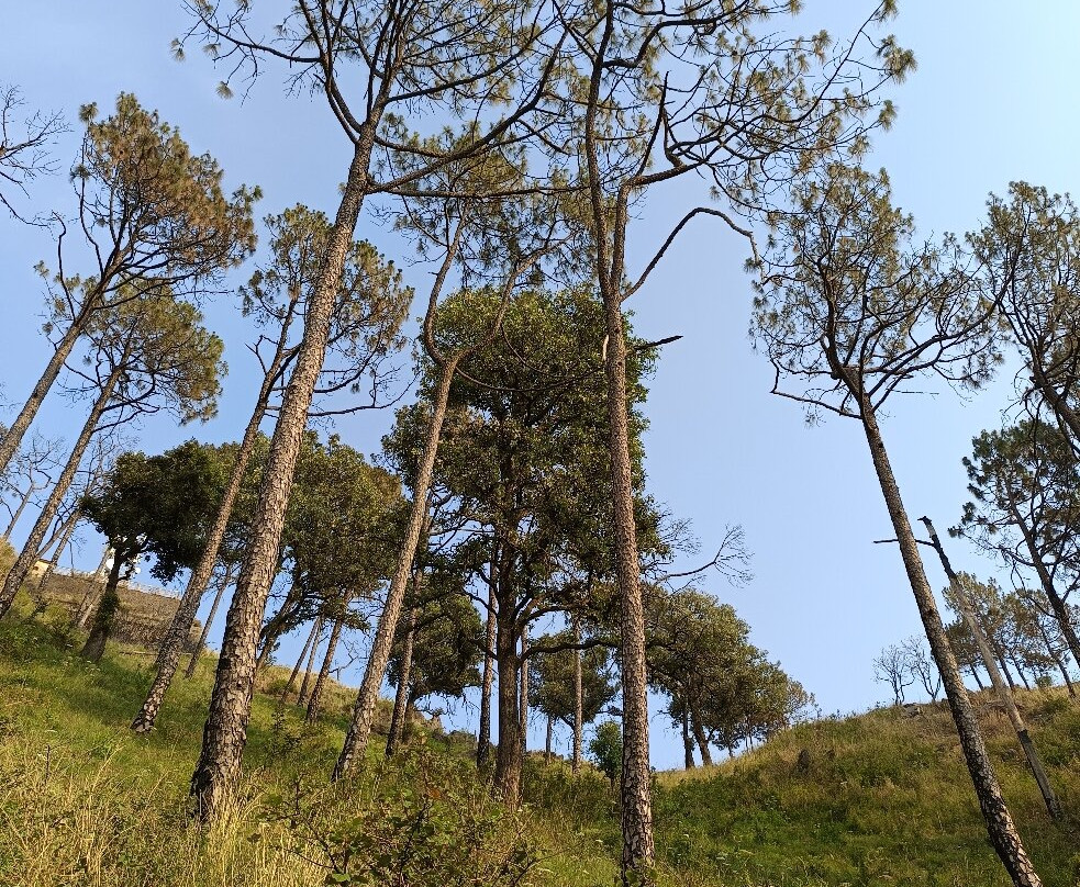 Gilbert Trail-Kasauli必去景点
