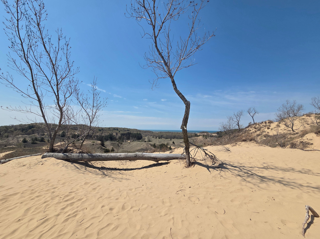 Saugatuck Dune Rides-索格塔克必去景点