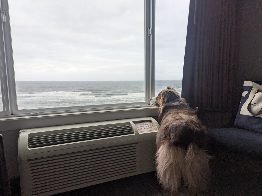 乔霍海滨旅馆主图