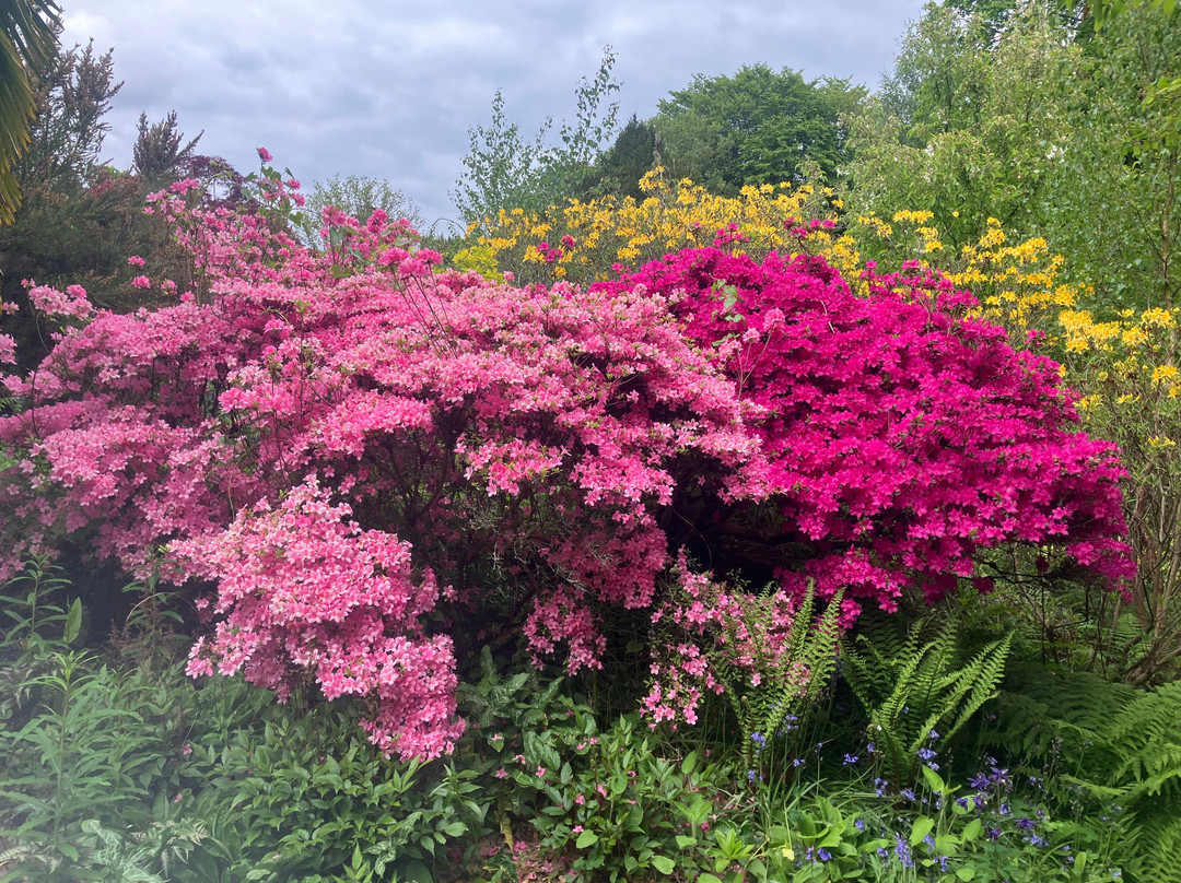 Scotney Castle Garden-Lamberhurst必去景点