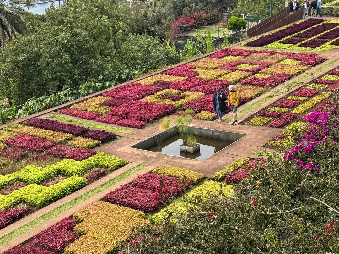 Madeira Botanical Garden-沙尔必去景点