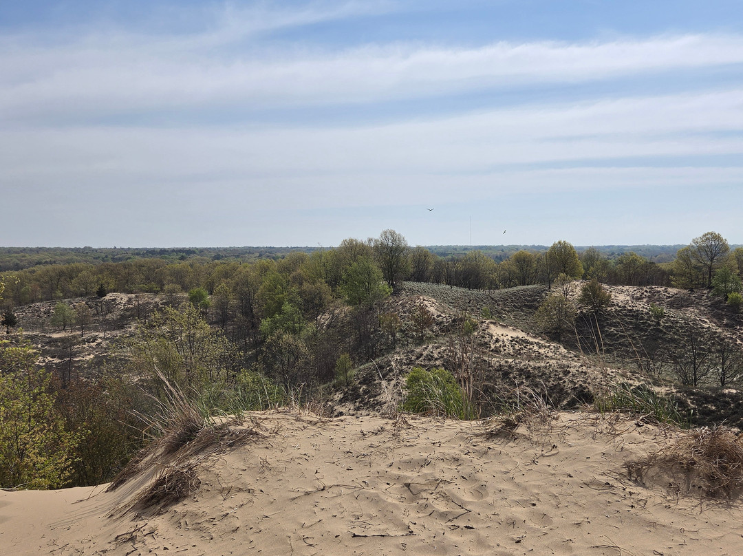 Saugatuck Dune Rides-索格塔克必去景点