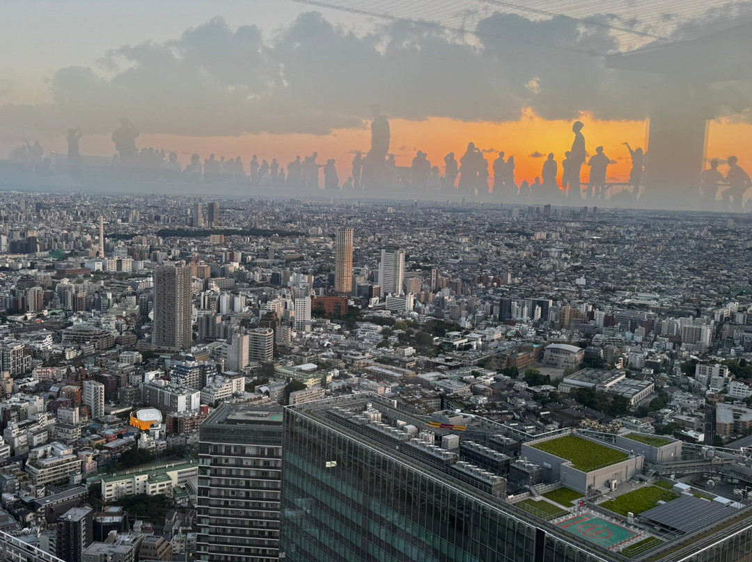 Shibuya Sky-涩谷区必去景点