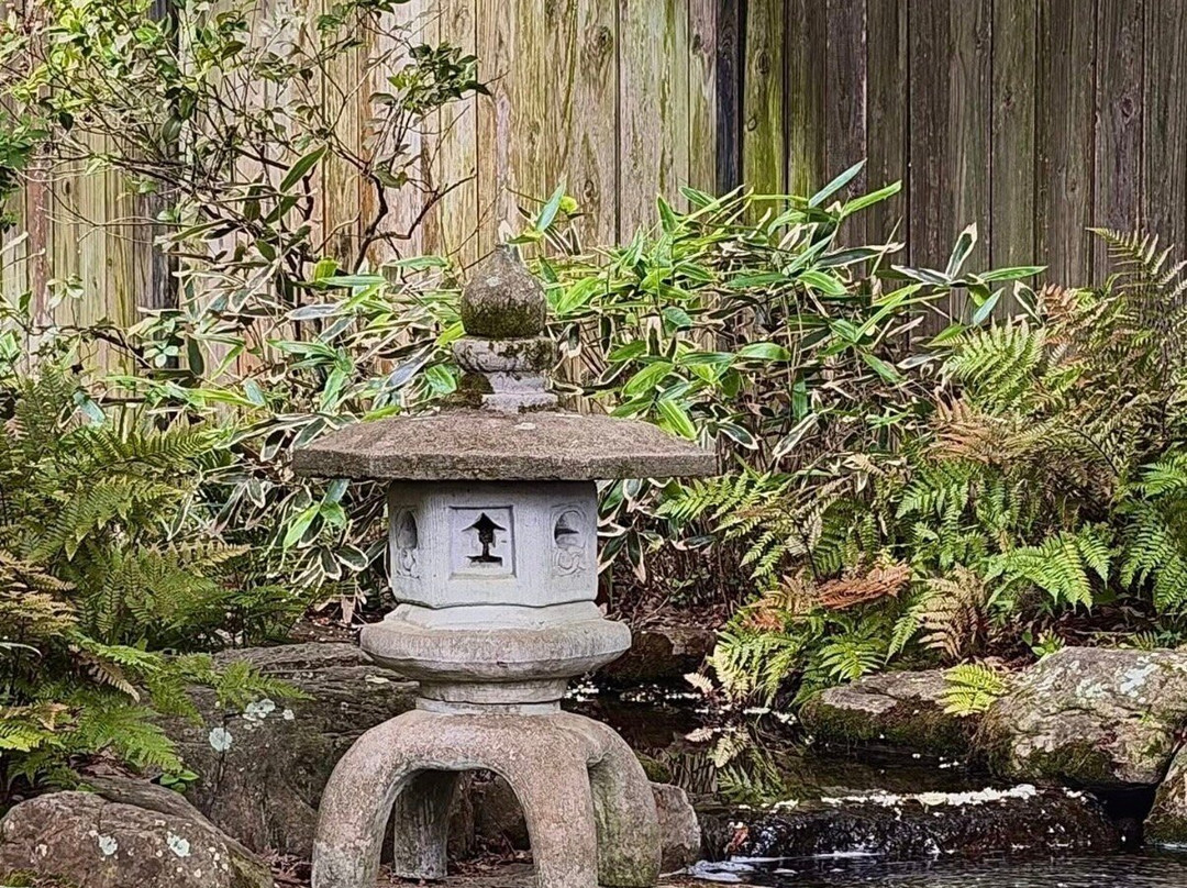 New Hanover County Arboretum-威尔明顿必去景点