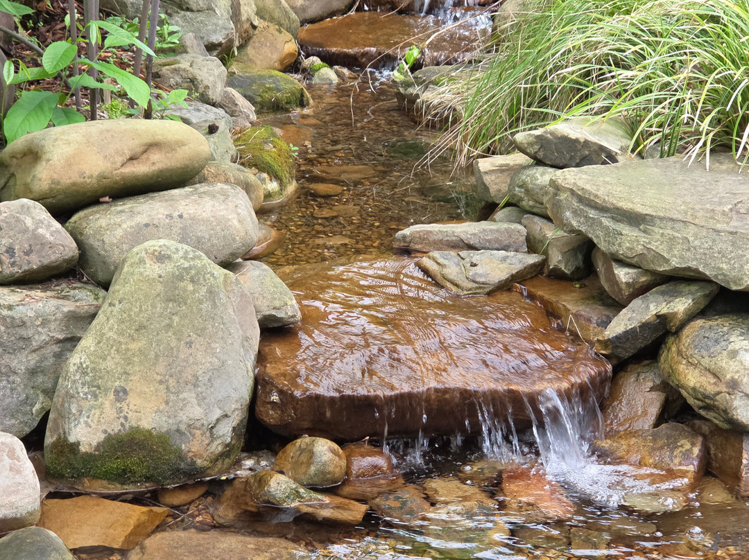 Huntsville Botanical Garden-亨茨维尔必去景点