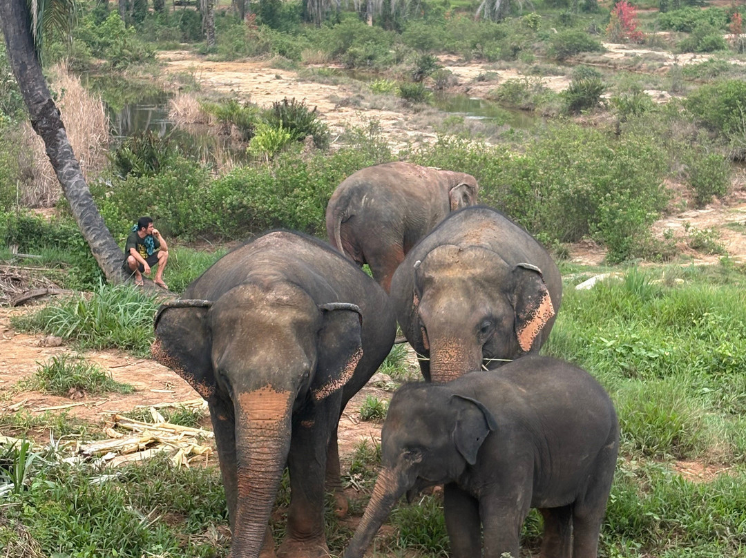 Following Giants - Krabi-Khlong Hin必去景点