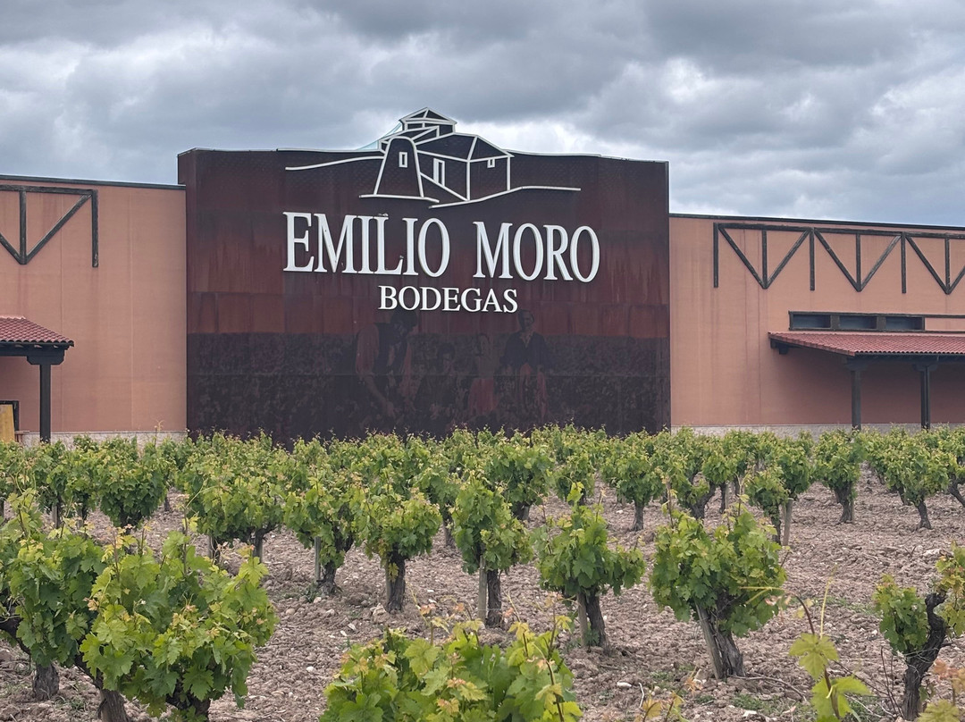 Emilio Moro Bodegas-Pesquera de Duero必去景点