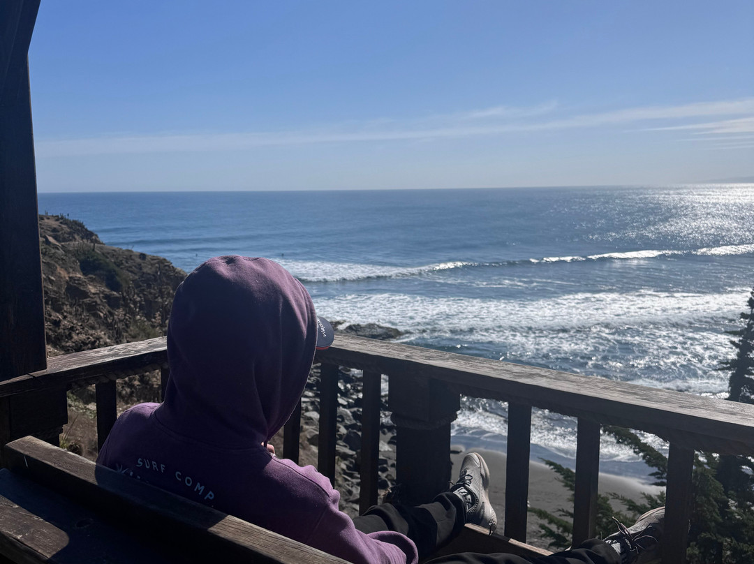 Punta De Lobos-皮钦勒姆必去景点