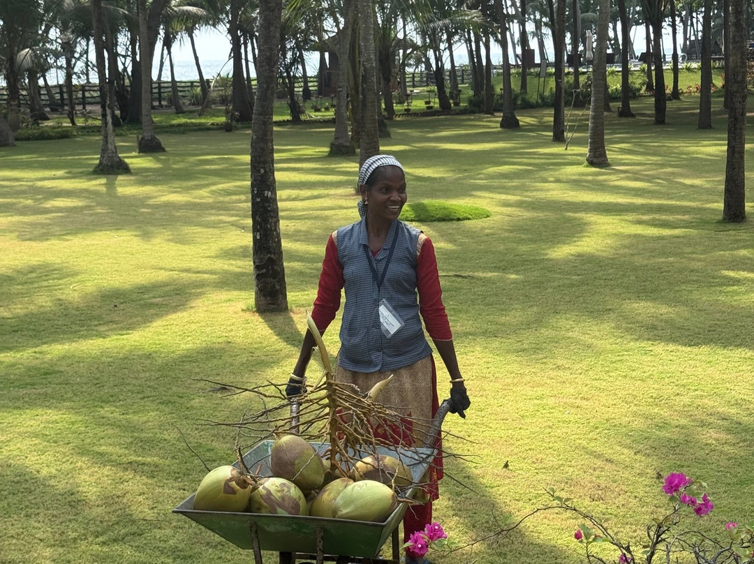 The Nattika Beach Resort主图