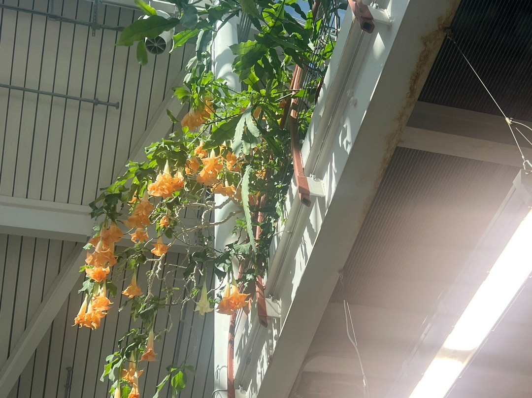 Cheyenne Botanic Gardens-夏延必去景点