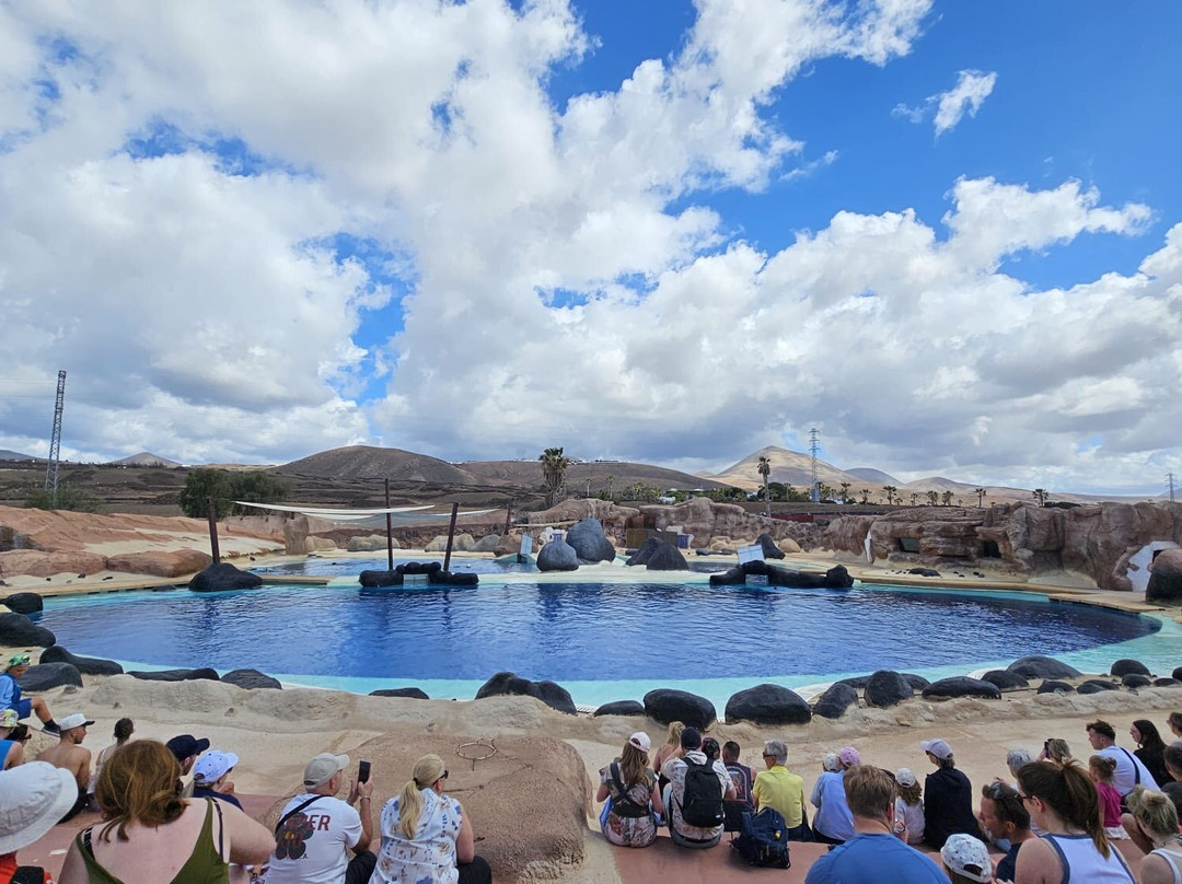 Rancho Texas Lanzarote Park-卡门港必去景点