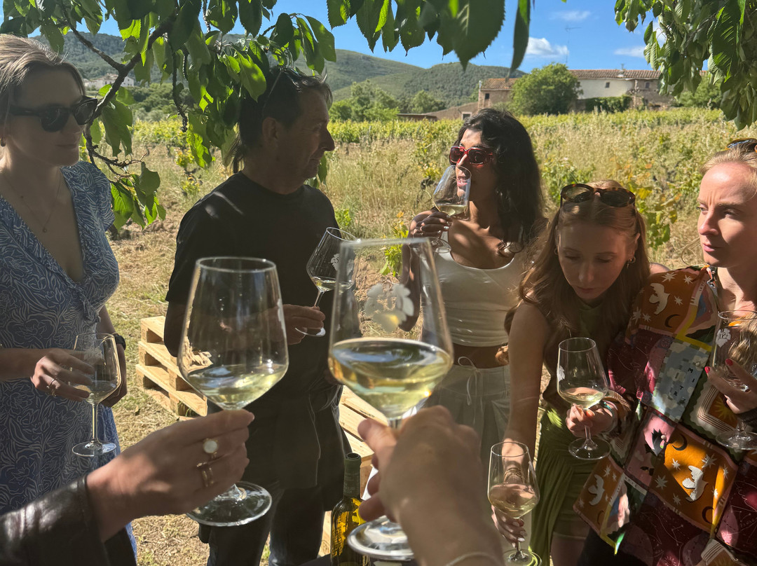 Penedes 500-El Pla de Manlleu必去景点
