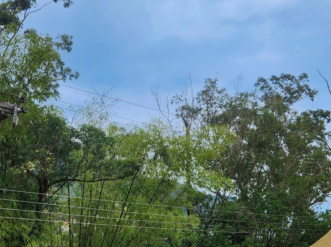 阿缇娜普拉亚酒店主图