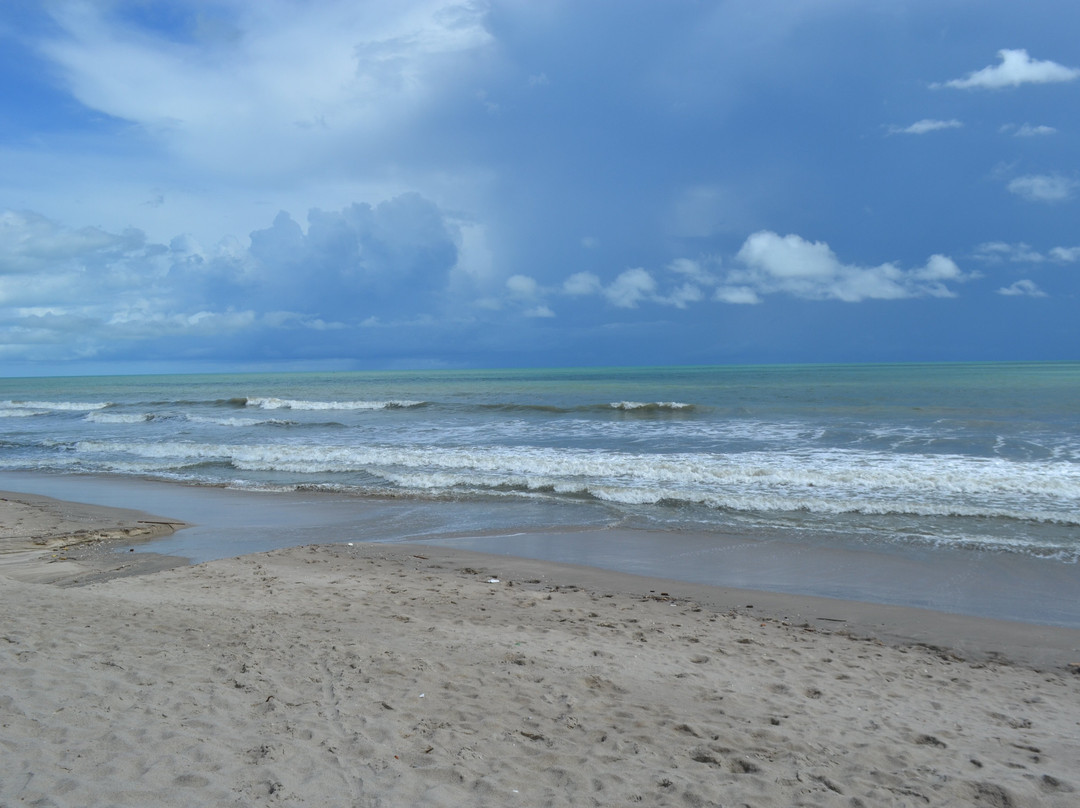 Praia do Preá-杰里科科拉必去景点