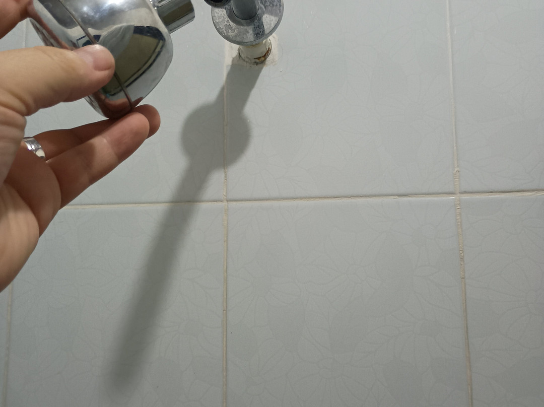 Hostel La Casona 1859主图