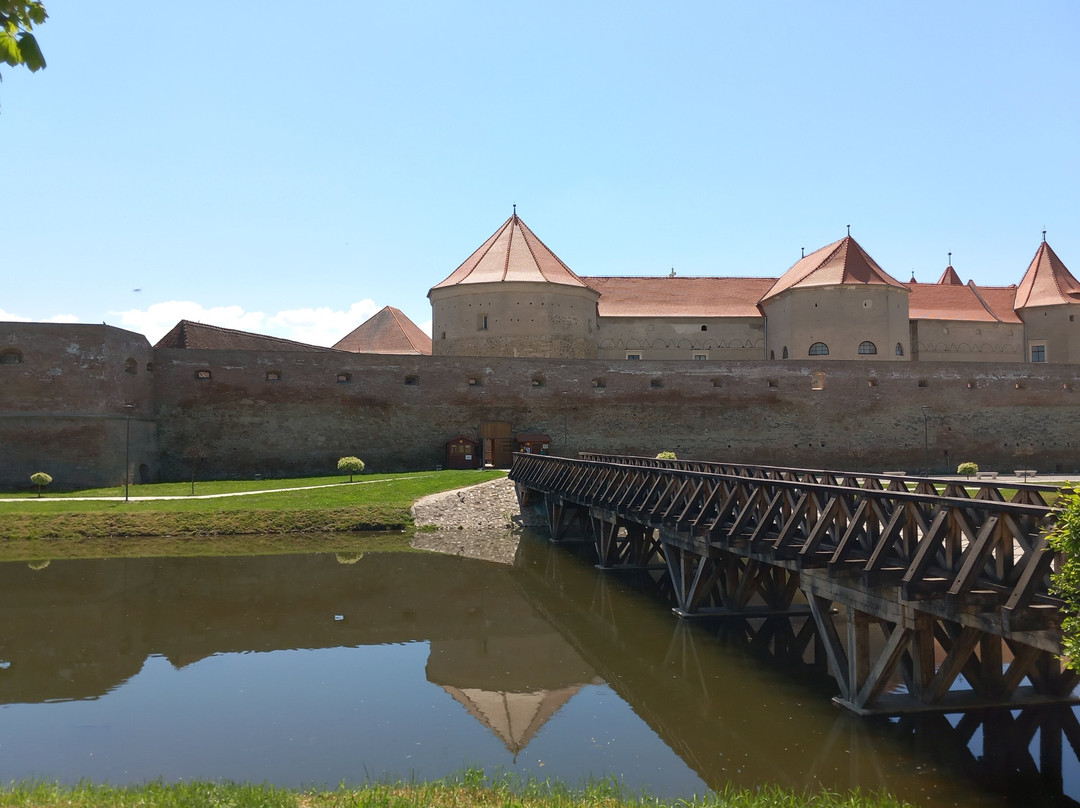 Fagaras Fortress-Fagaras必去景点